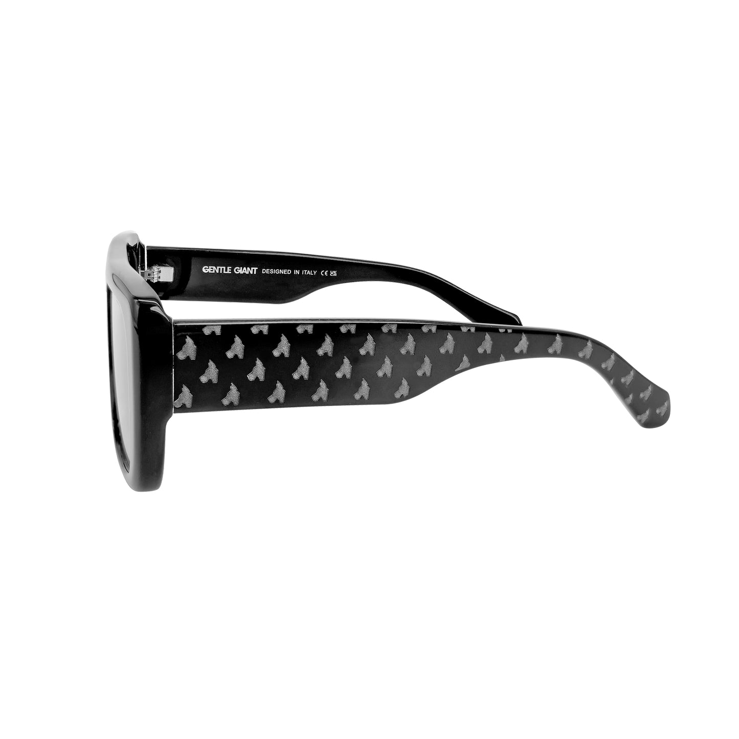 BJÖRN BLACK (TINTED GREY LENS & LOGO ON TEMPLES)