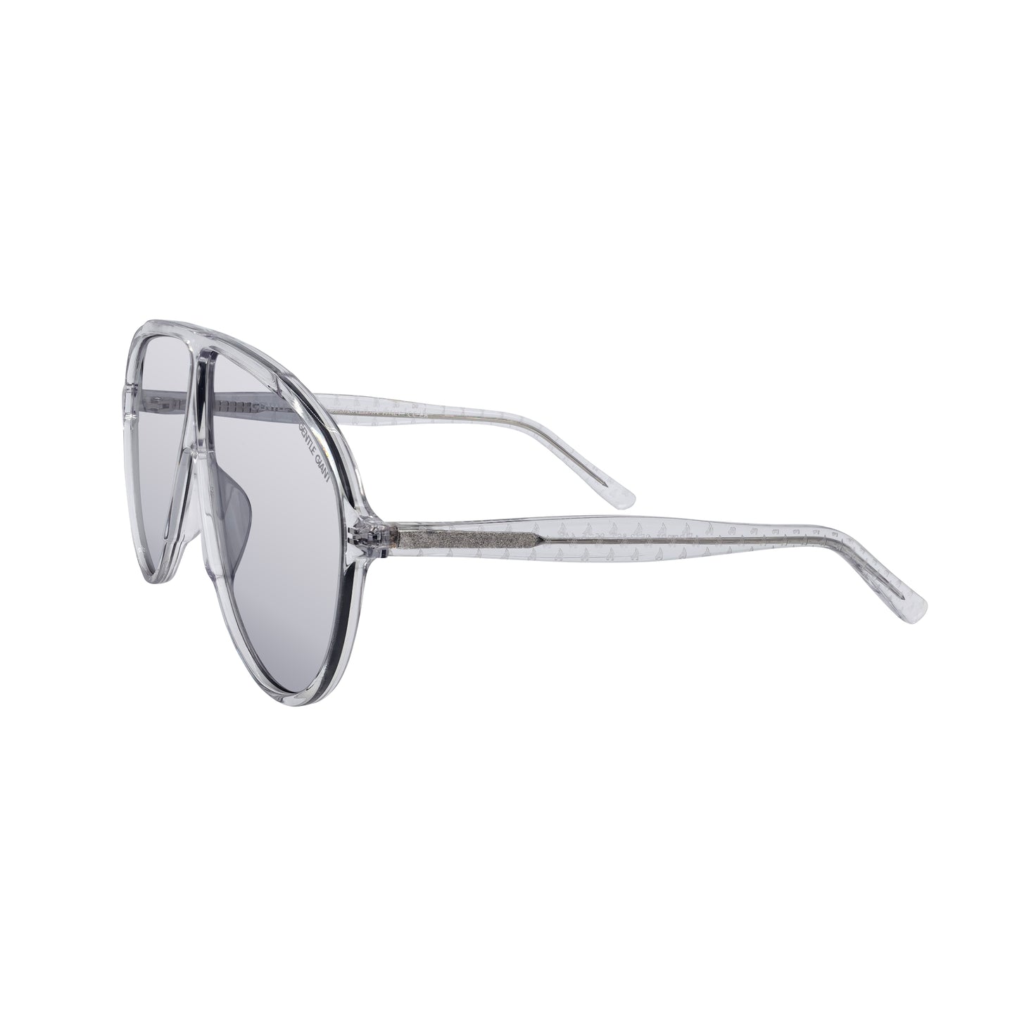 RAGNAR - COOL TRANSPARENT TINTED GLASSES