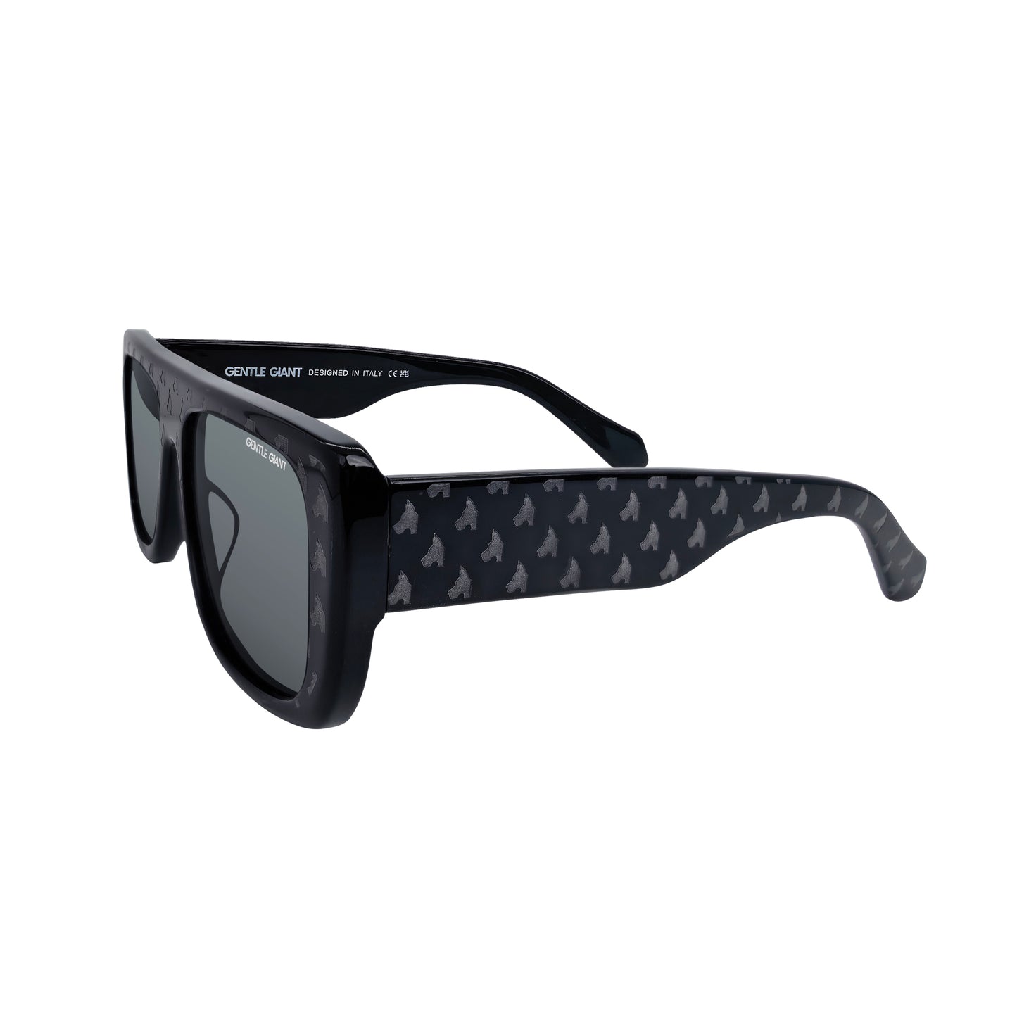 BJÖRN BLACK (BLACK LENS & FULL LOGO)