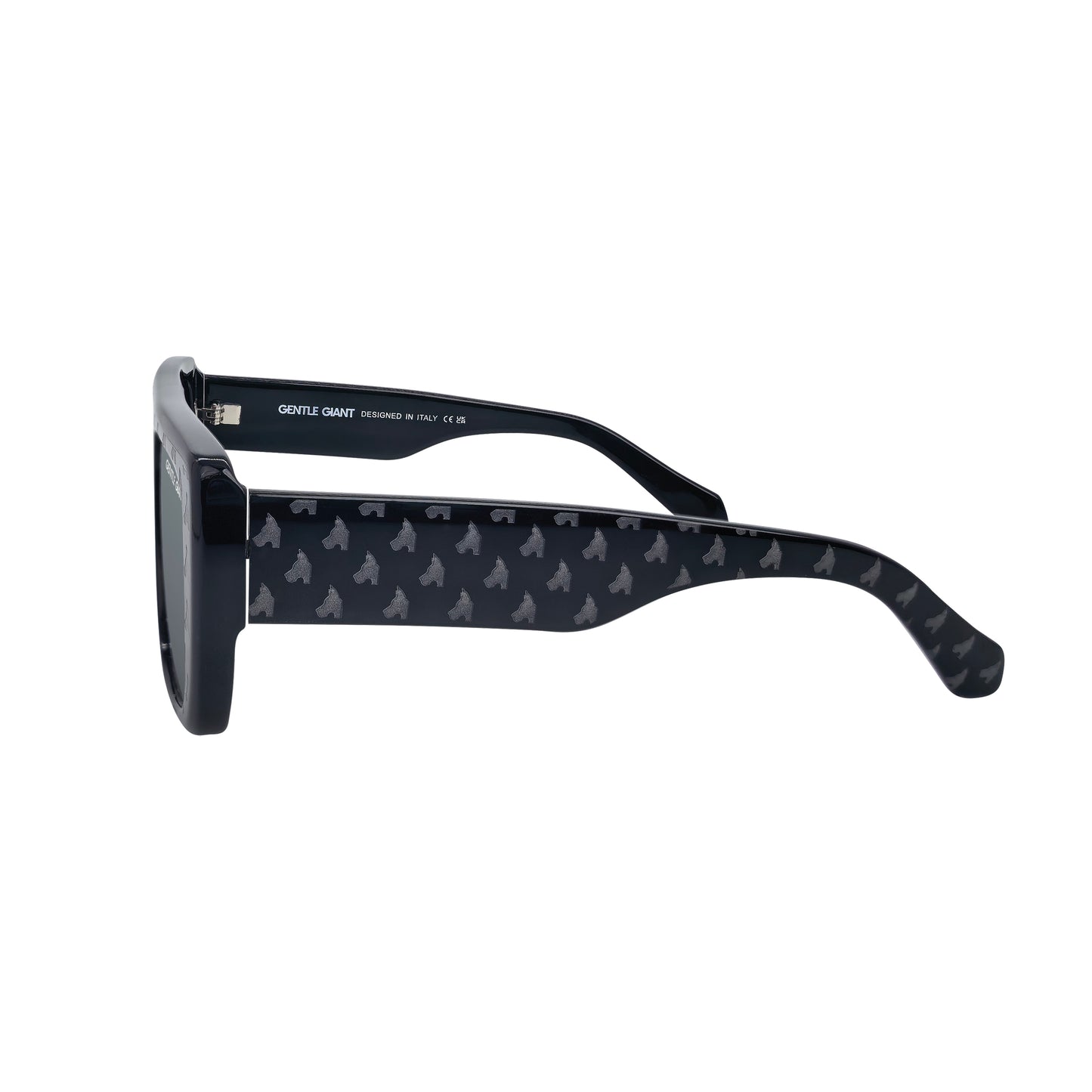 BJÖRN BLACK (BLACK LENS & FULL LOGO)