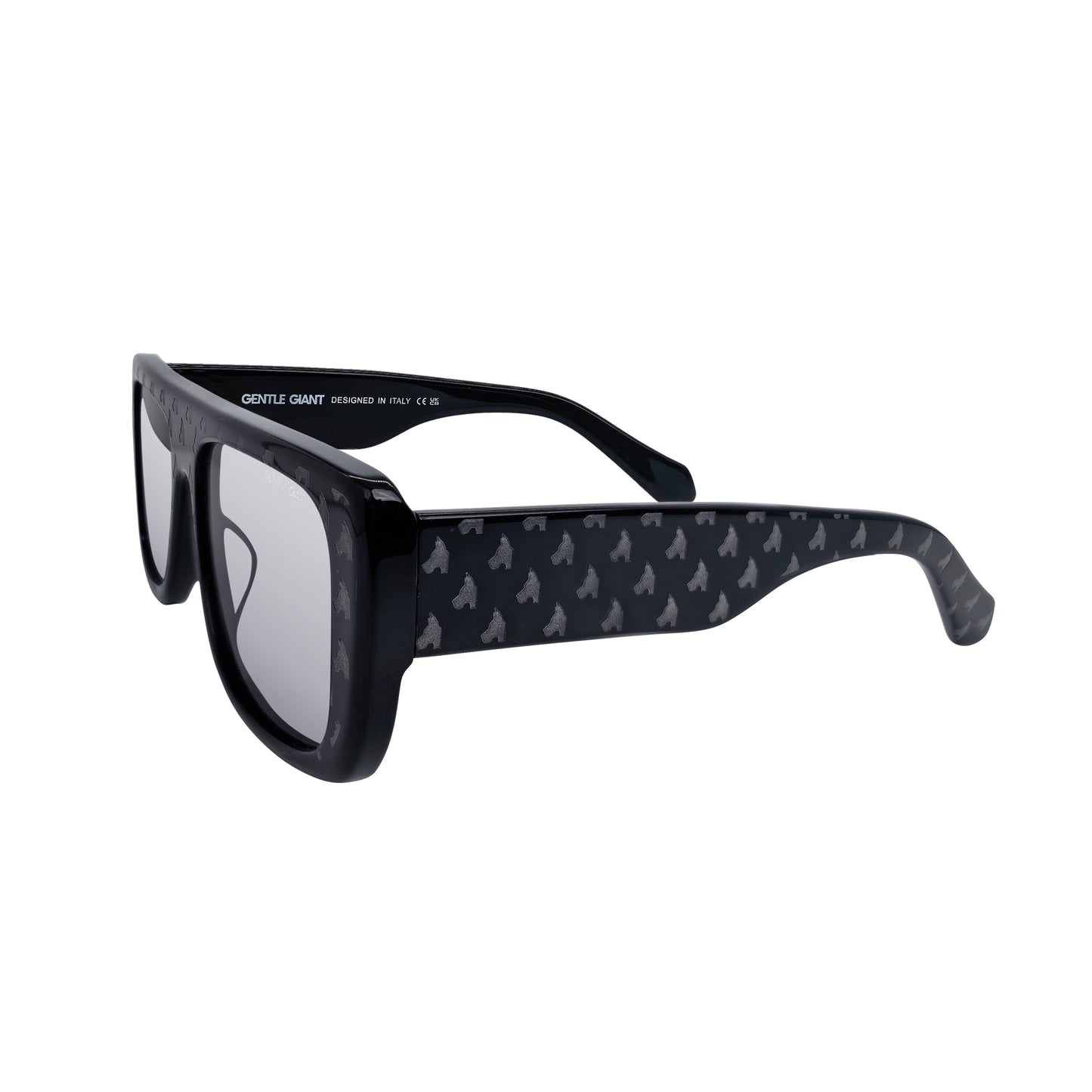 BJÖRN BLACK (TINTED GREY LENS & FULL LOGO)