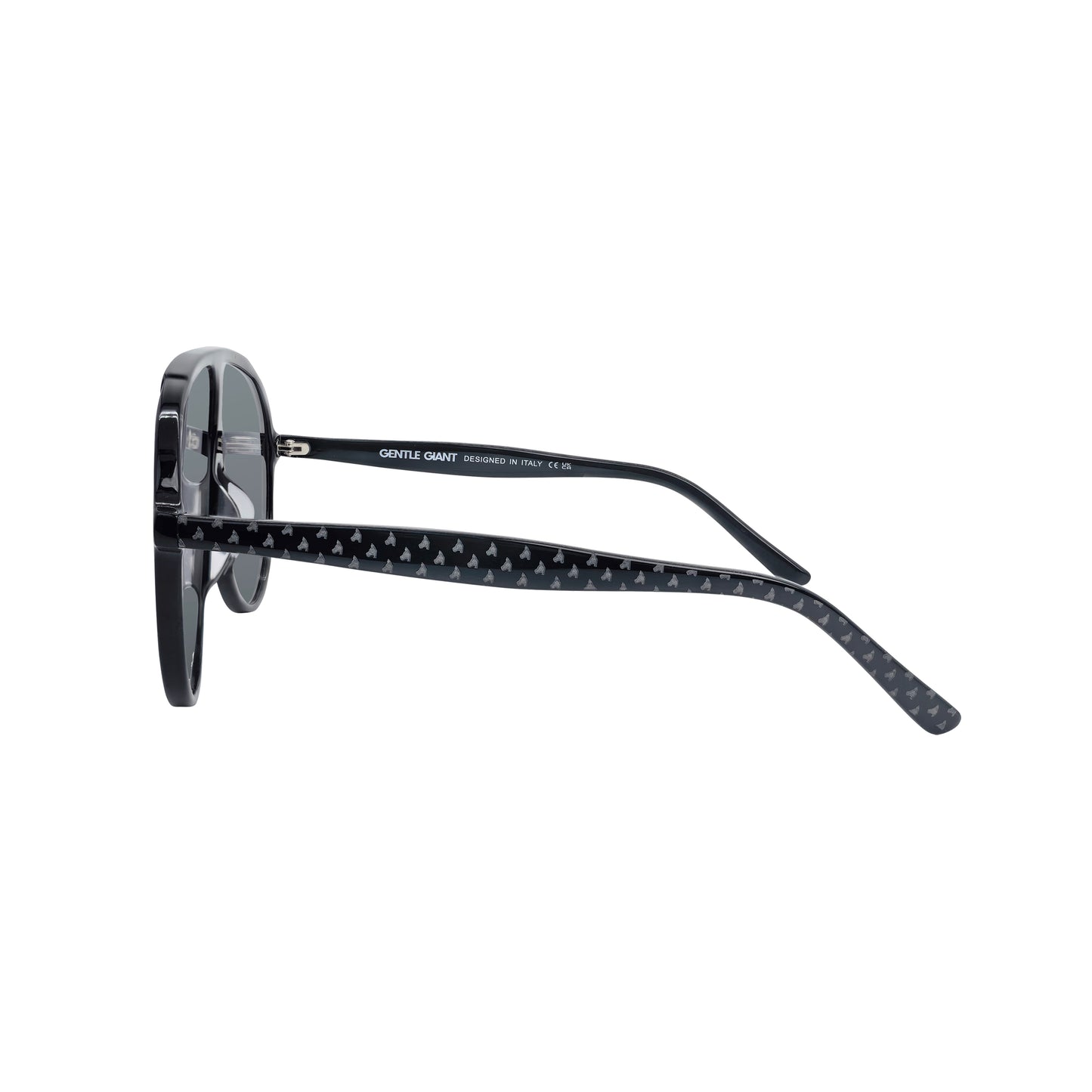RAGNAR - BLACK WITH BLACK LENS