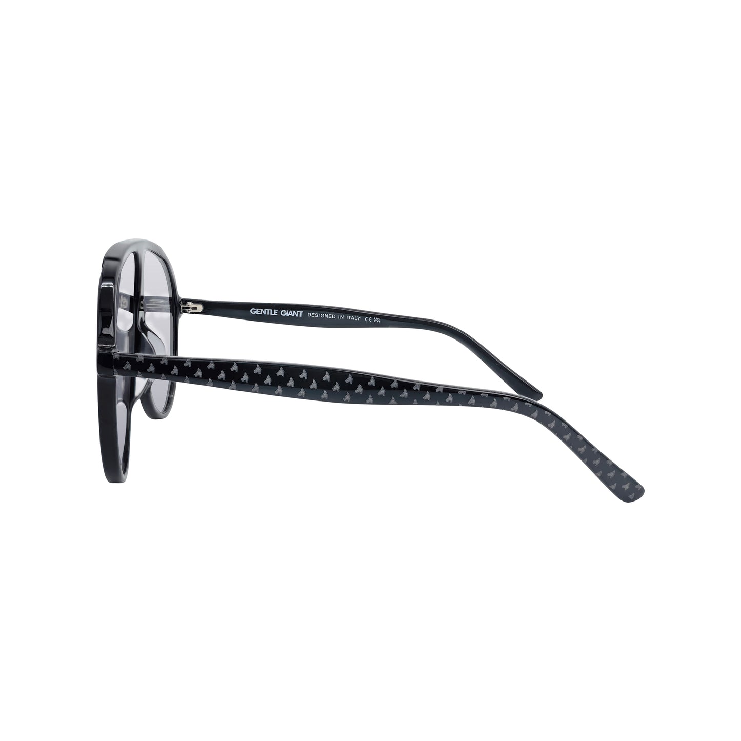 RAGNAR - BLACK WITH LIGHTLY TINTED LENS