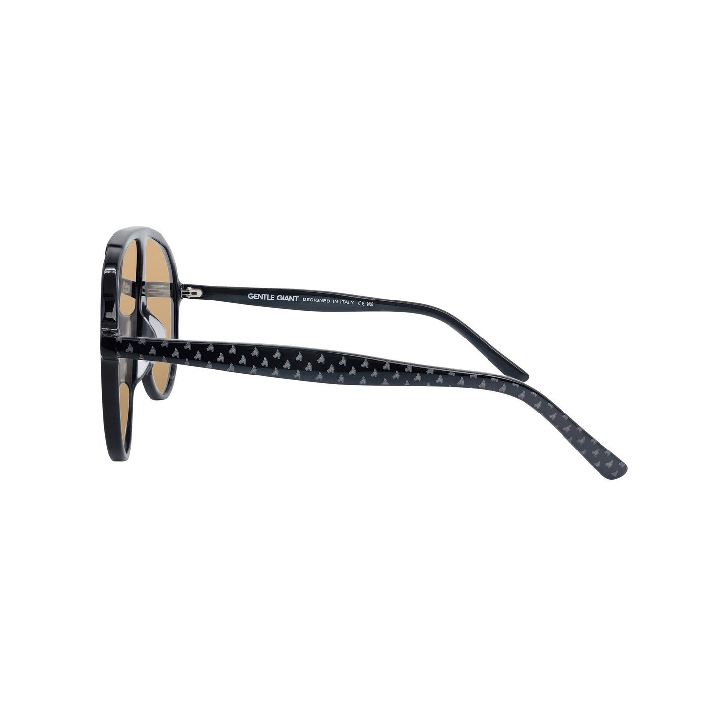 RAGNAR - BLACK WITH BROWN LENS