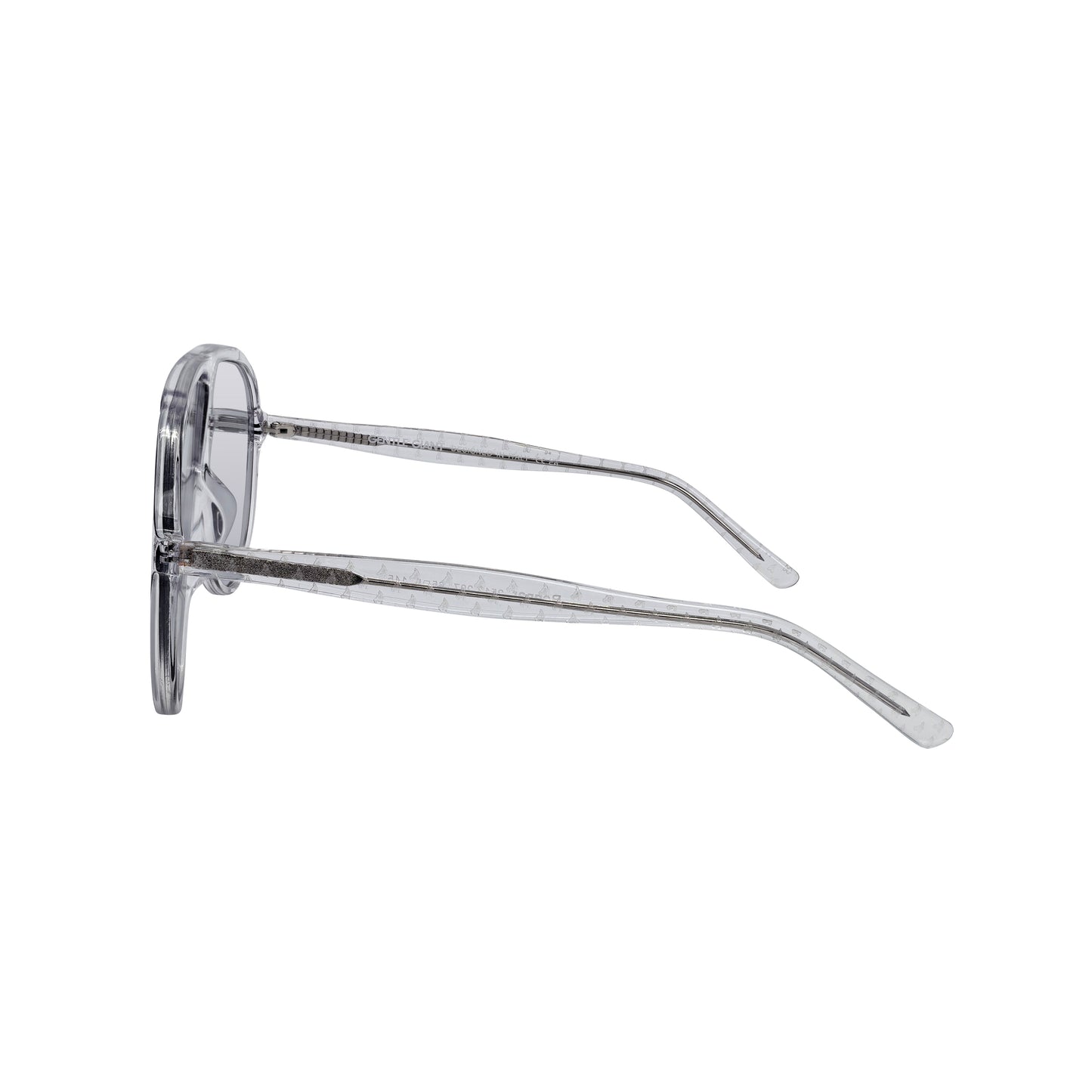 RAGNAR - COOL TRANSPARENT TINTED GLASSES